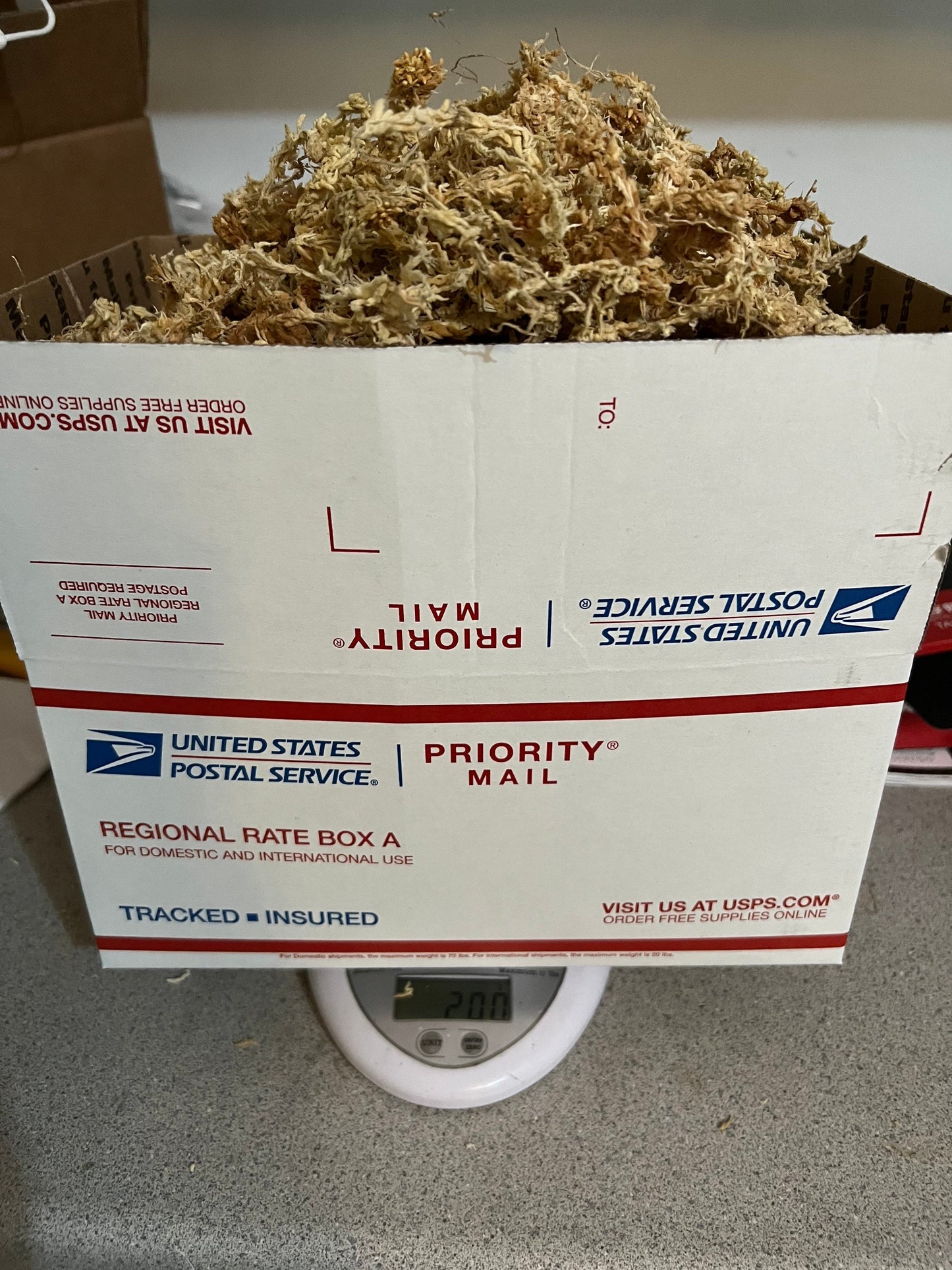 New Zealand Besgrow AAAAA (5A) Sphagnum Moss, Premium Long Strand