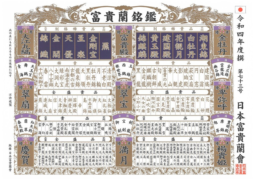 Neofinetia falcata 'Nishidemiyako' 西出都