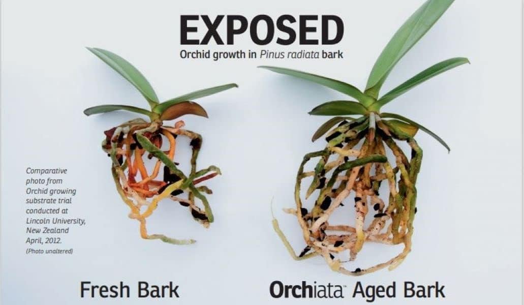 Orchiata Orchid Bark - New Zealand Pinus Radiata, Classic Grade (1/4'' -3/8'') - for Superior Aeration and Longevity, Perfect for Orchids and Cymbidium