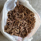 Chilean Sphagnum 7A Moss 智利7星毛毛虫水苔