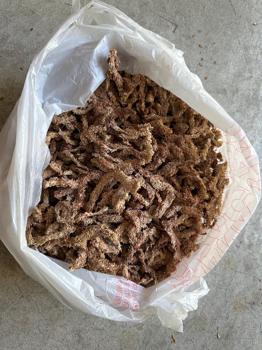 Chilean Sphagnum 7A Moss 智利7星毛毛虫水苔