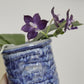 Rare blue! P. Mituo Purple Dragon ‘Blue Whale’ (MCL63), fragrant