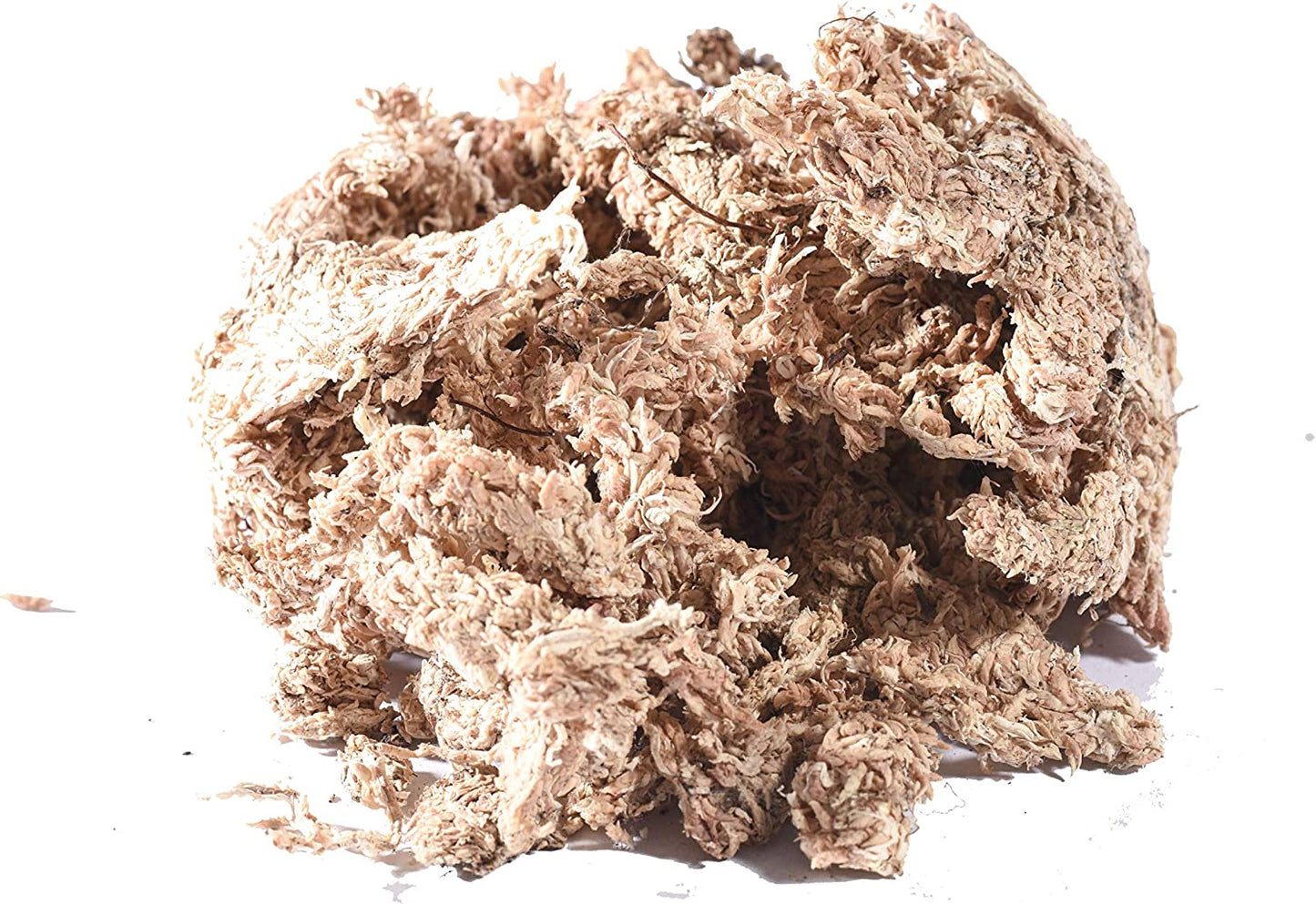 Chilean Sphagnum 7A Moss 智利7星毛毛虫水苔