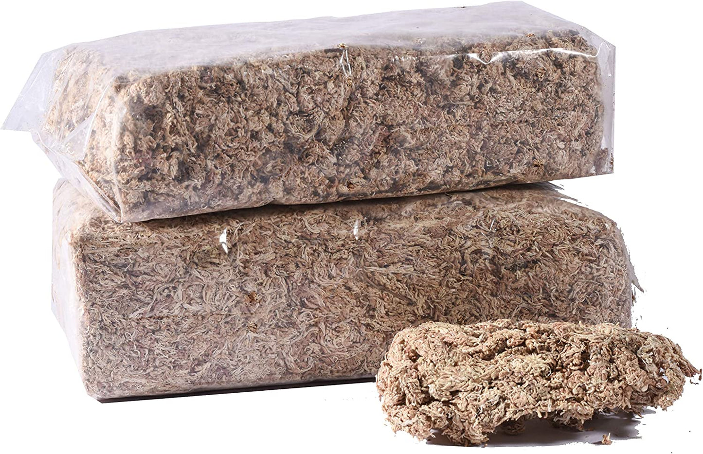 Chilean Sphagnum 7A Moss 智利7星毛毛虫水苔