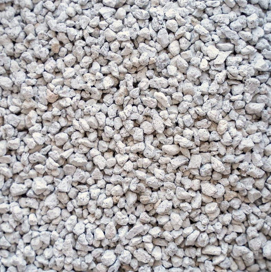 Pumice, medium size, ~3/8" x 1/4"