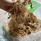 New Zealand 3A Sphagnum Moss, high quality moss