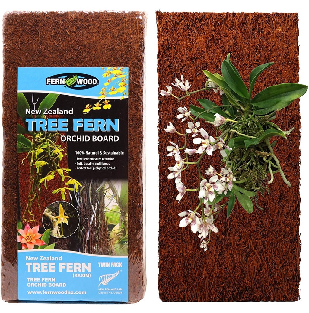 Twin Pack — New Zealand Tree Fern Orchid Mounting Board 12''x6''x1''