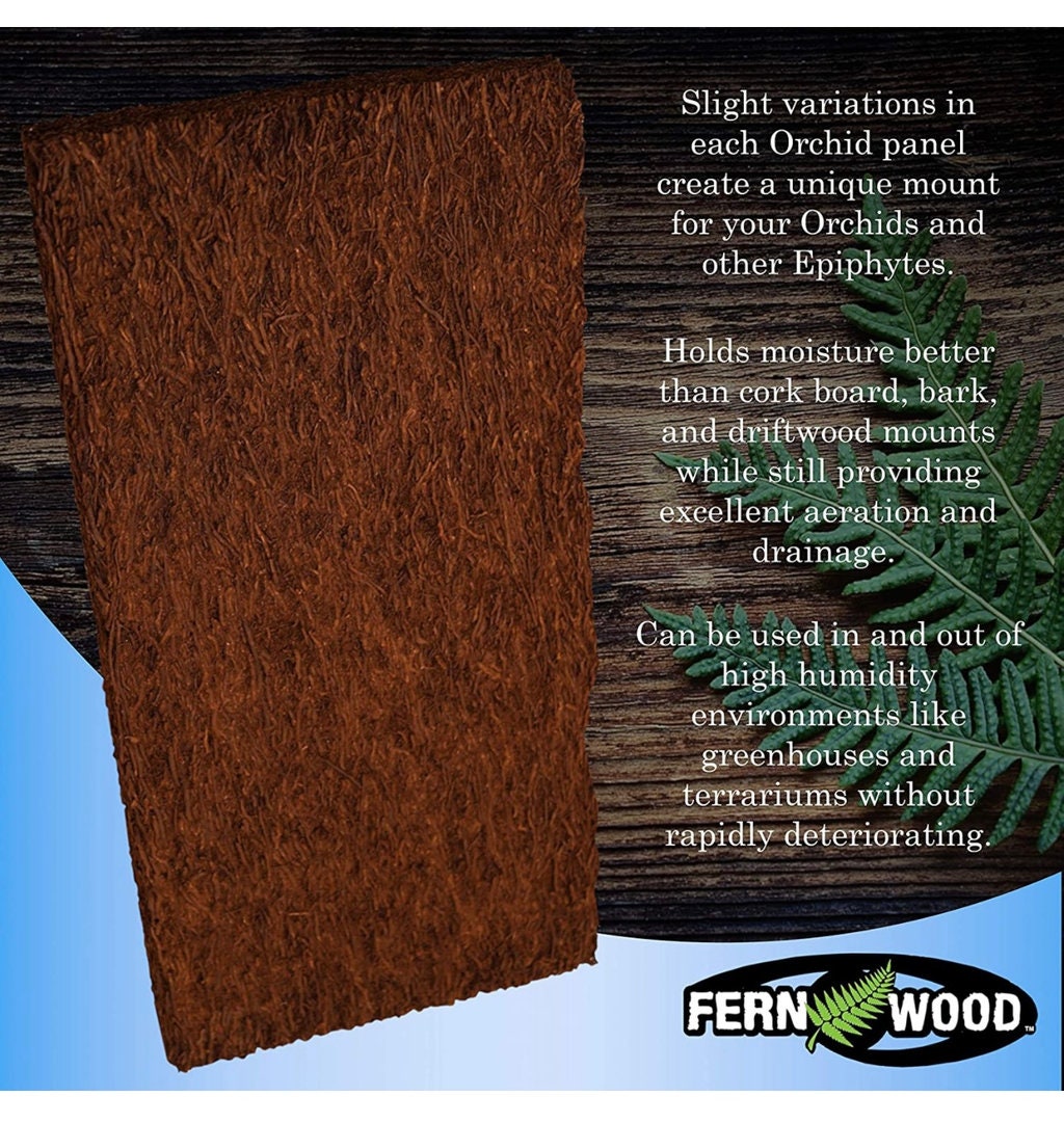 Twin Pack — New Zealand Tree Fern Orchid Mounting Board 12''x6''x1''