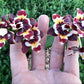 Phal. Yaphon Star Diamond ‘AN6602’ (Peloric) AM/AOS, fragrant!