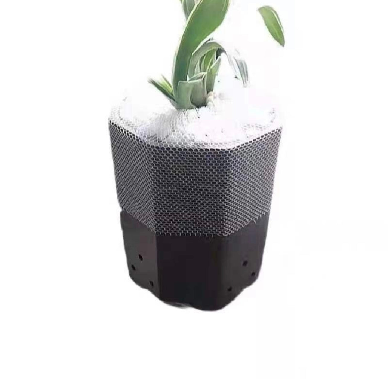 Orchid Protective Net over pot